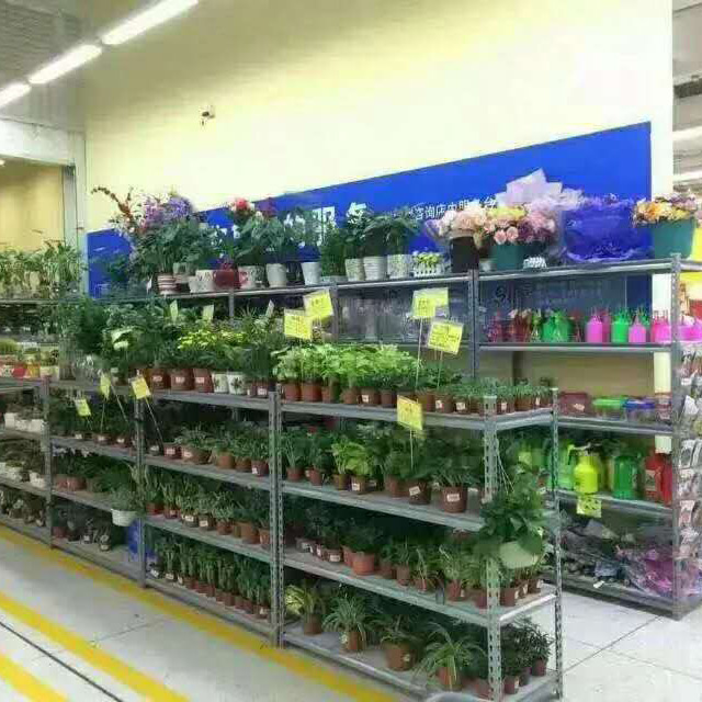 飞龙电子捕鱼名称