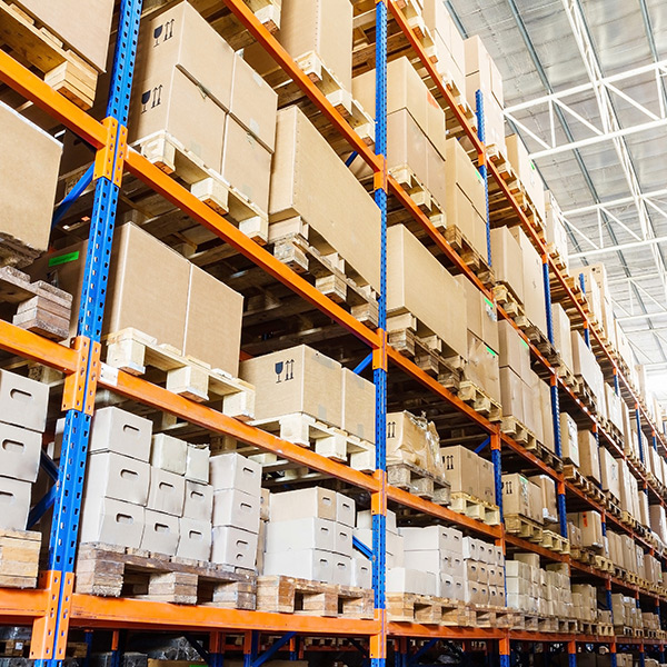 飞龙电子捕鱼名称