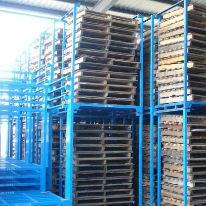 飞龙电子捕鱼名称