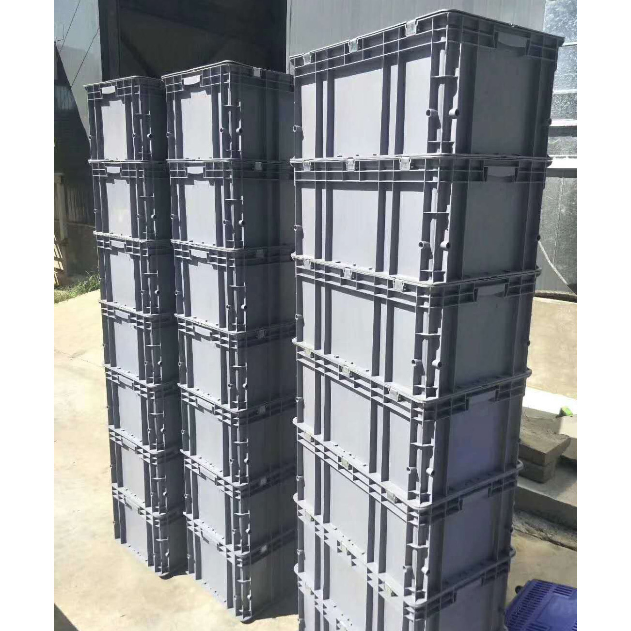 飞龙电子捕鱼名称